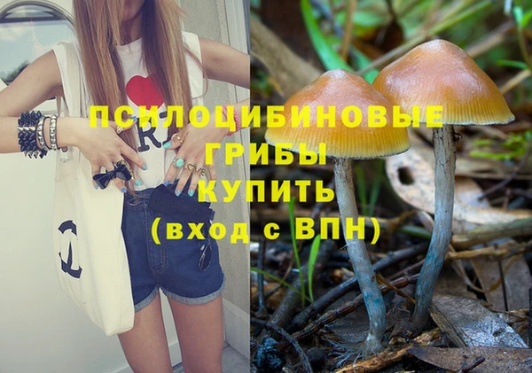 jwh Богородицк