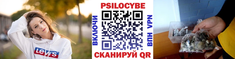 kraken ТОР  Верхотурье  Галлюциногенные грибы прущие грибы 